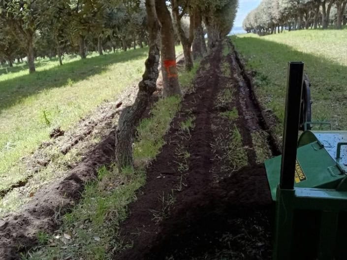 The trench formed by the trencher